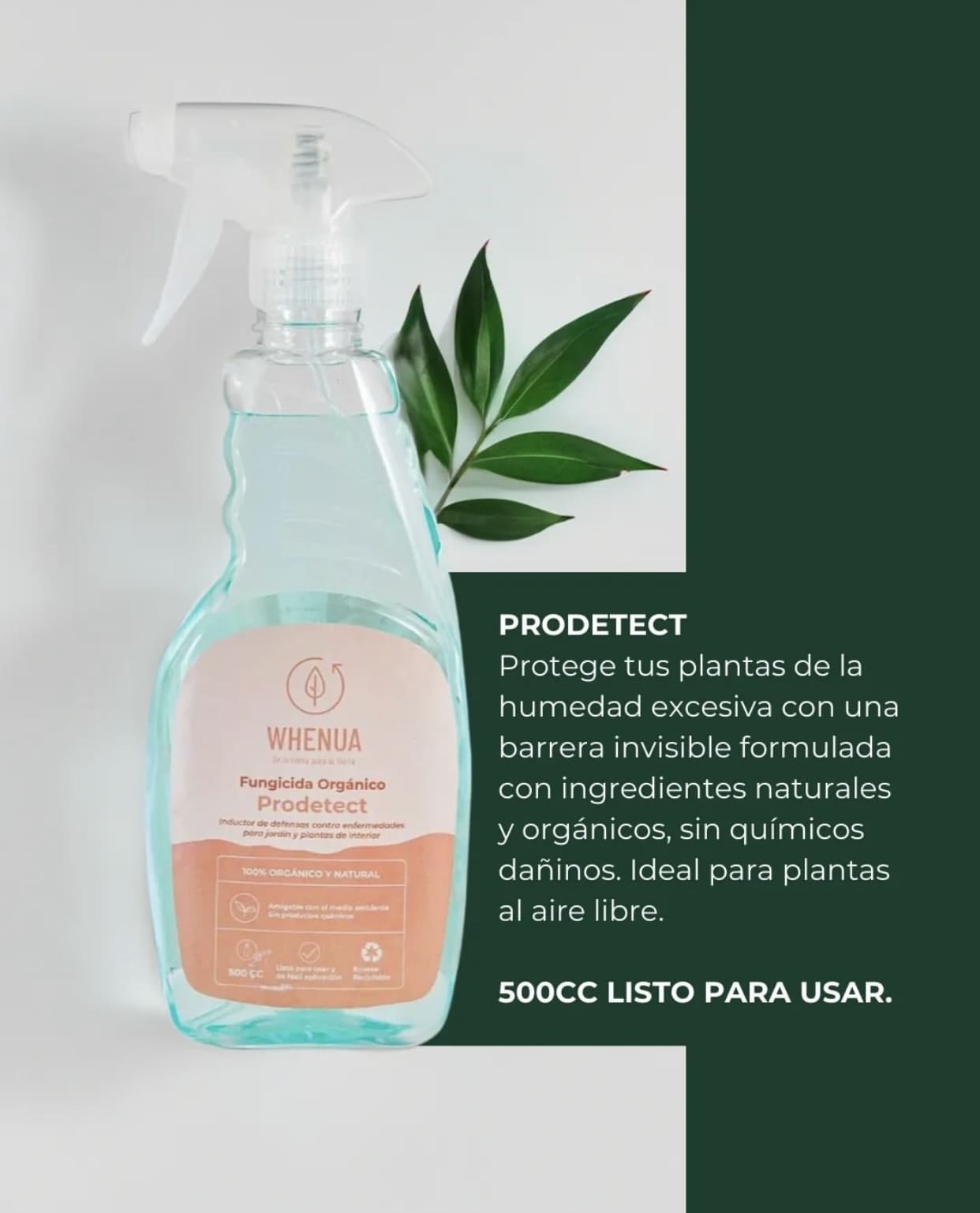 Fungicida Whenua Prodetect Jardín Spray 500cc - Imagen 3