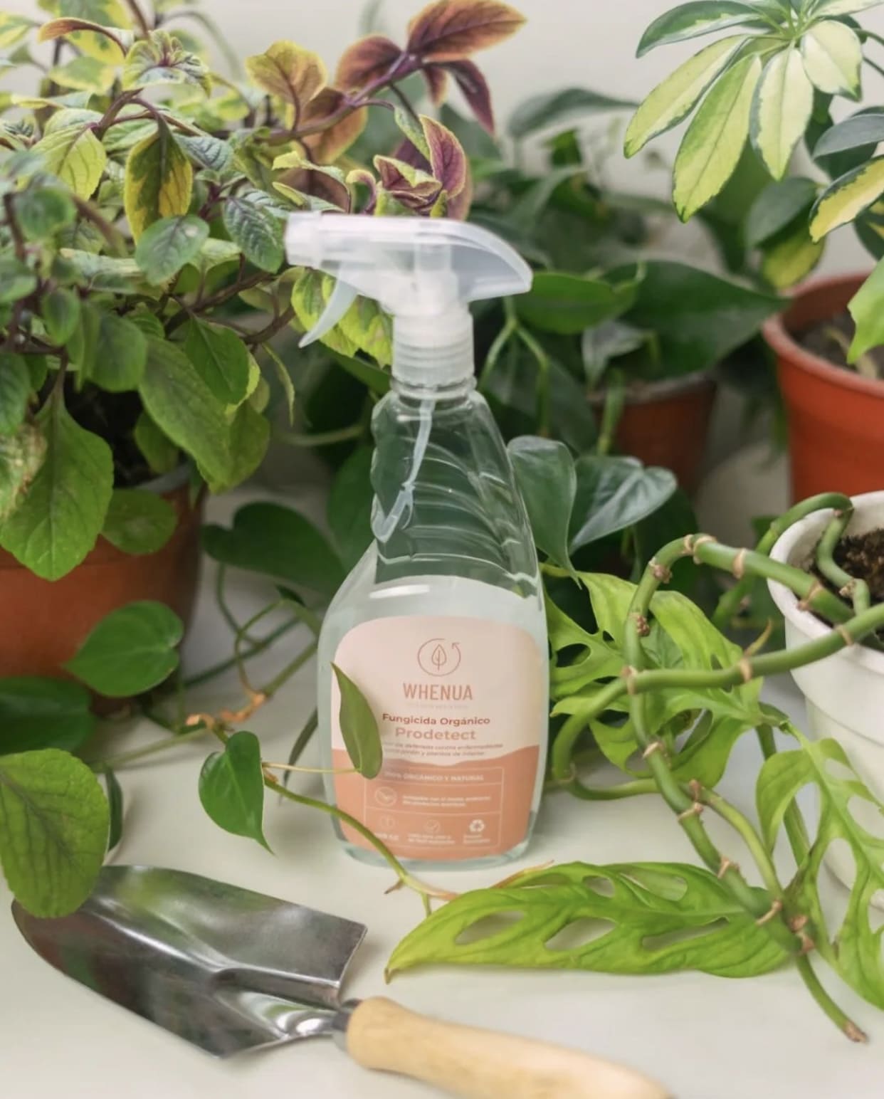 Fungicida Whenua Prodetect Jardín Spray 500cc - Imagen 4