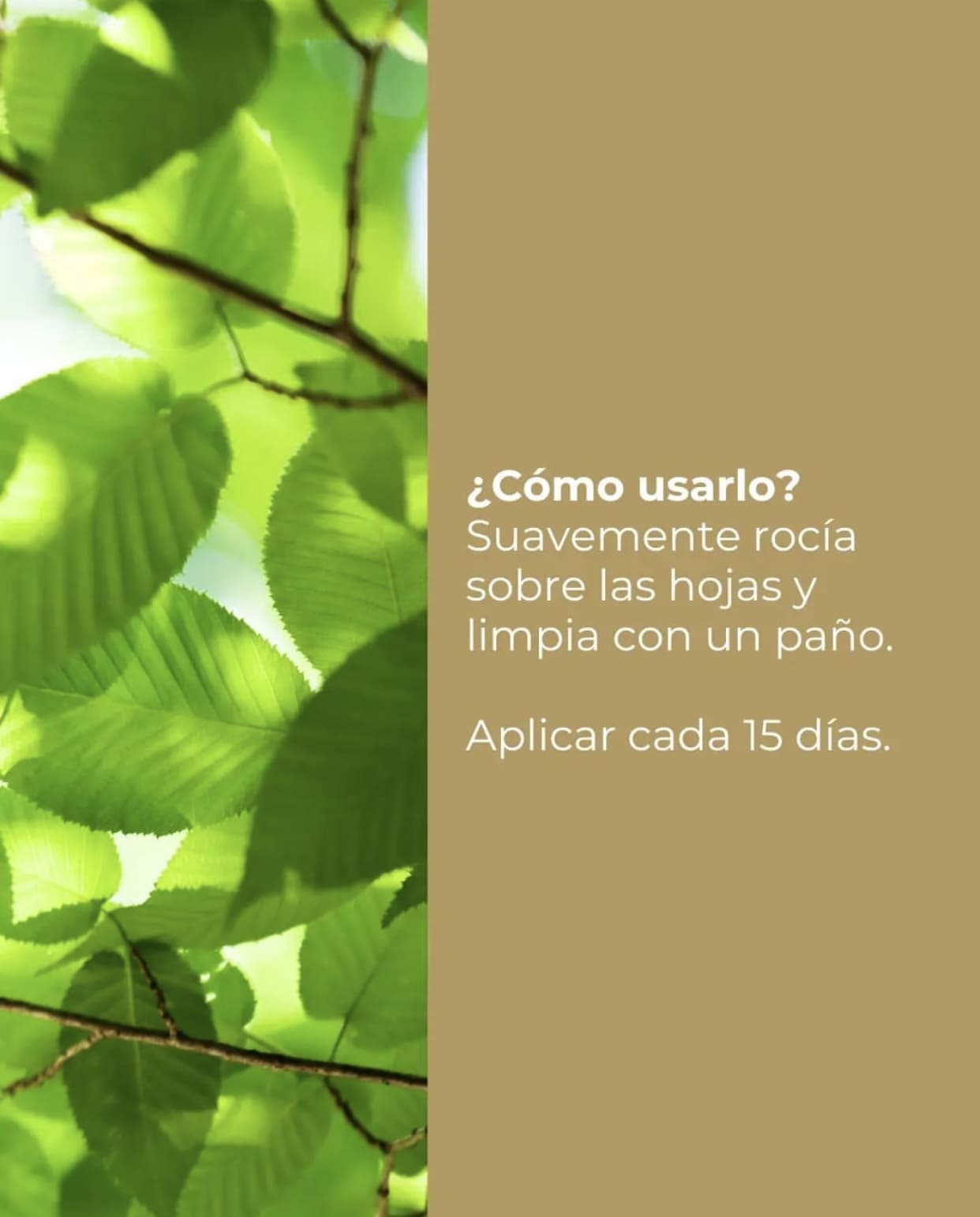 Abrillantador Vegetal Whenua Koru Shine Spray 500cc - Imagen 3