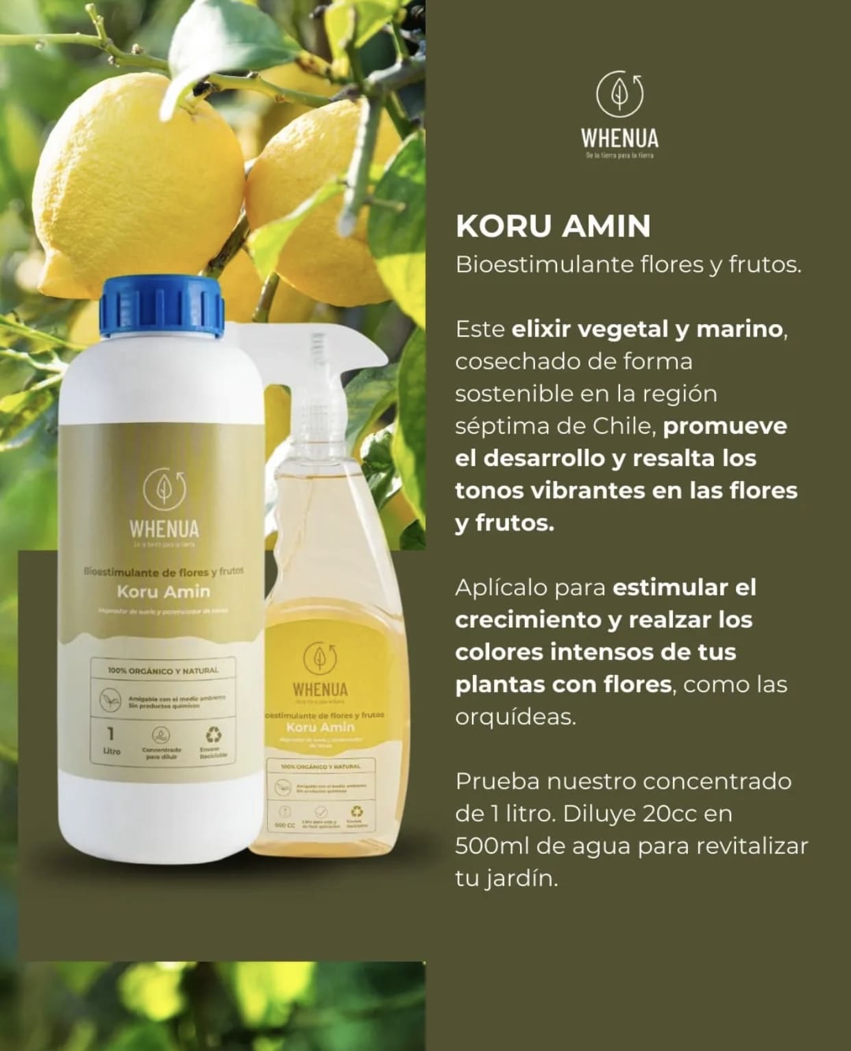 Bioestimulante Whenua Koru Amin - Concentrado Rinde 25L - Imagen 3