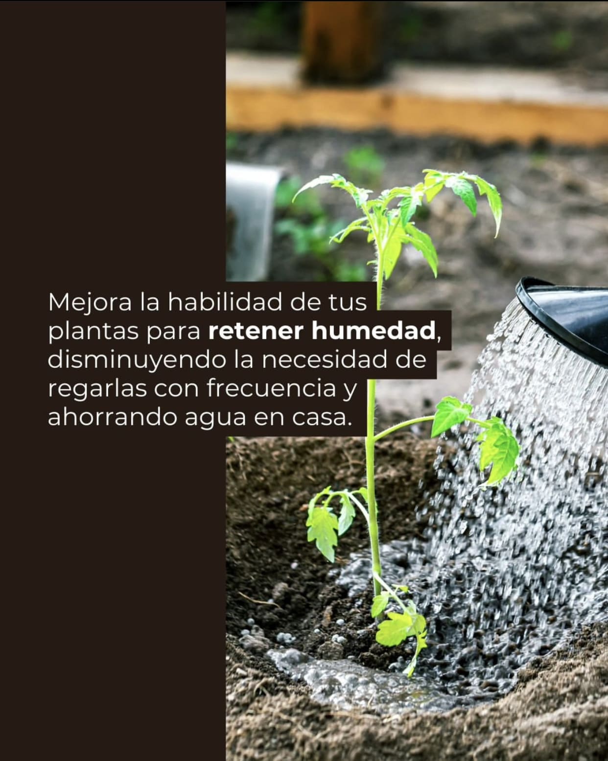 Hidrogel Vegetal Whenua Wai Gel - Ahorro Hídrico - Imagen 4