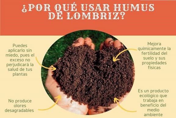 Humus de lombriz líquido Whenua Lombriland - Concentrado Rinde 25L - Imagen 5