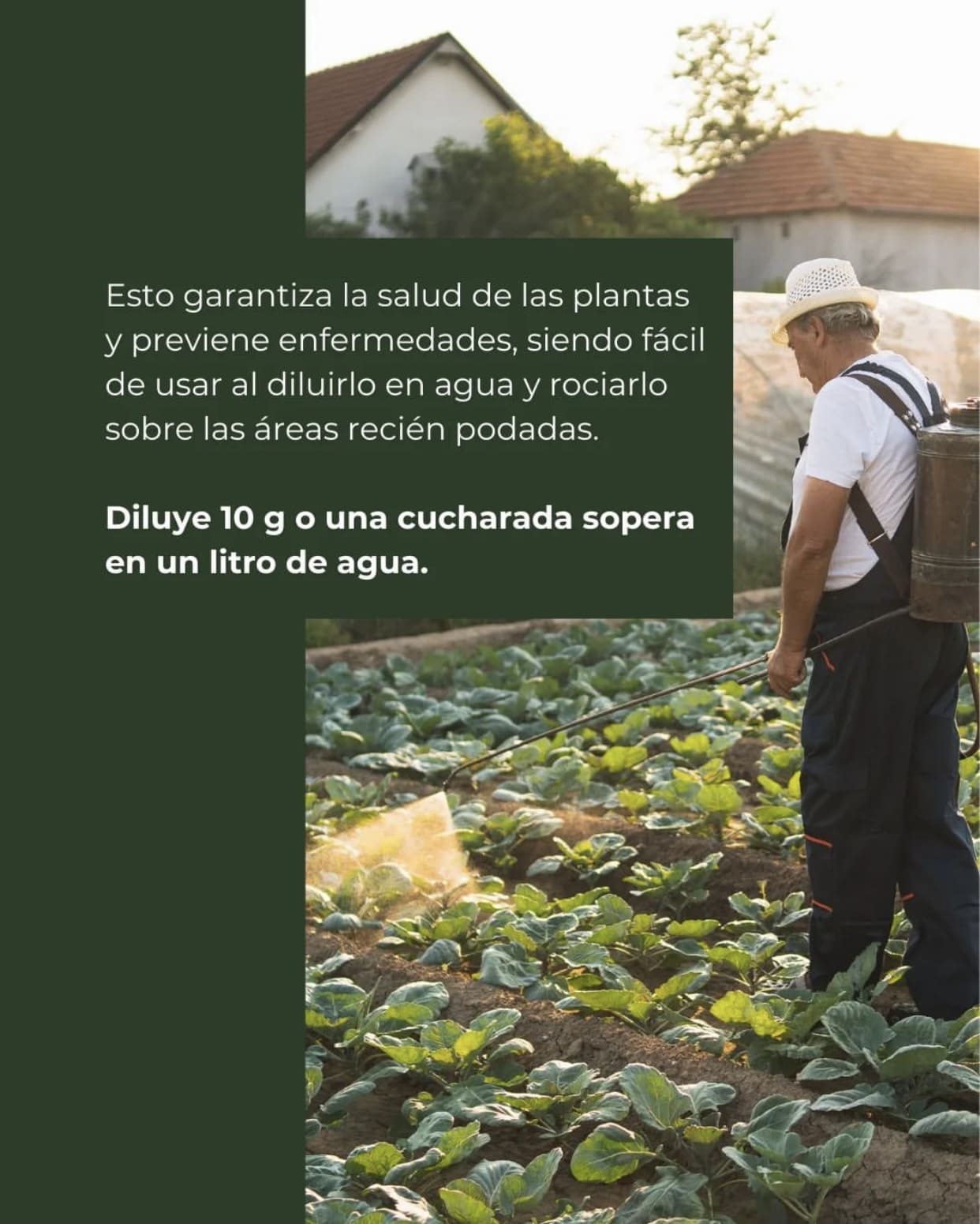 Jabón Potásico Whenua Horoi Plant - Concentrado Rinde 25L - Imagen 3