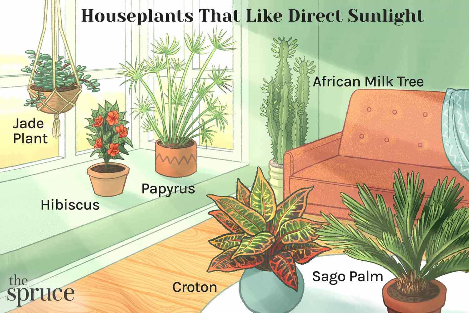 Protector Solar para Plantas Whenua Bioscreen Spray 500cc - Imagen 7