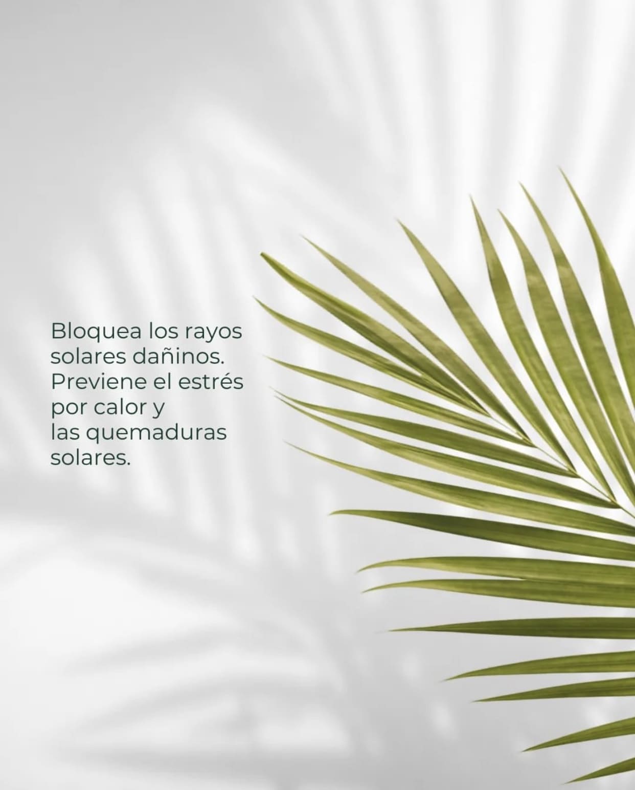 Protector Solar para Plantas Whenua Bioscreen Spray 500cc - Imagen 5