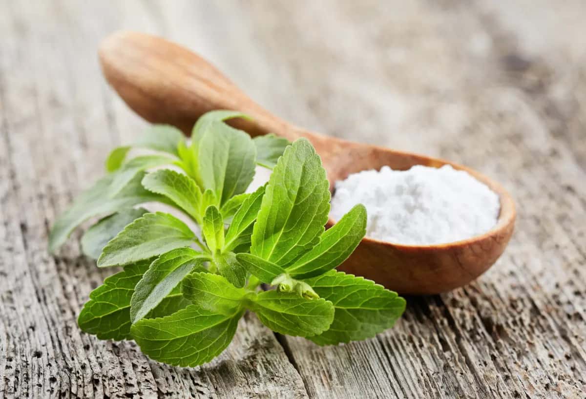 Stevia Endulzante Natural en Polvo 50g Health Natural - Imagen 3
