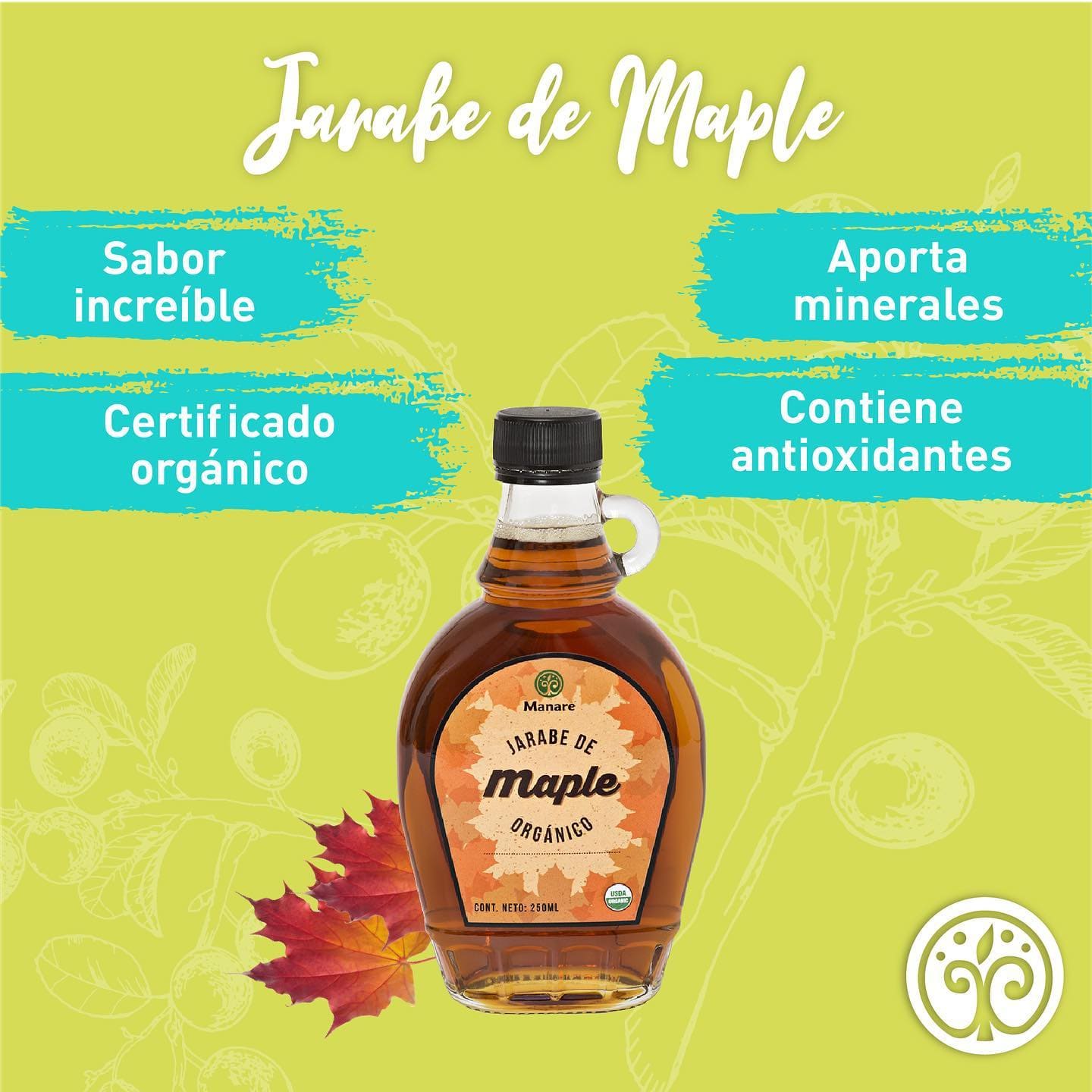 Jarabe de Maple Syrup - Endulzante Natural 250ml - Manare - Imagen 3