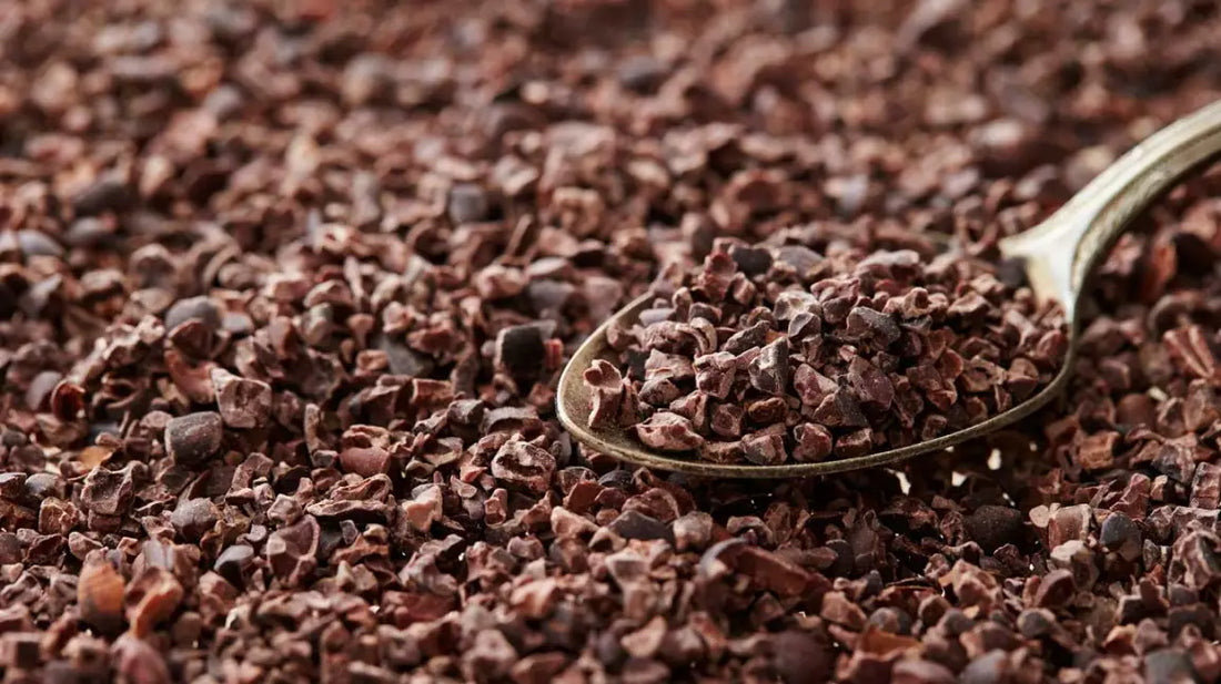 Cacao Nibs Orgánico 200g - Manare - Imagen 10