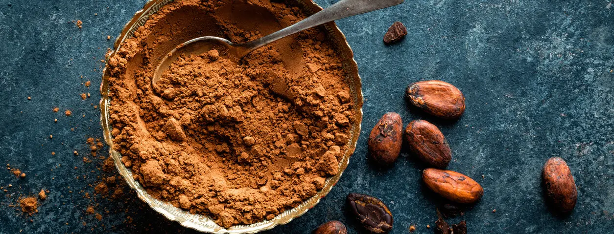 Cacao en polvo 500g - Manare - Imagen 12