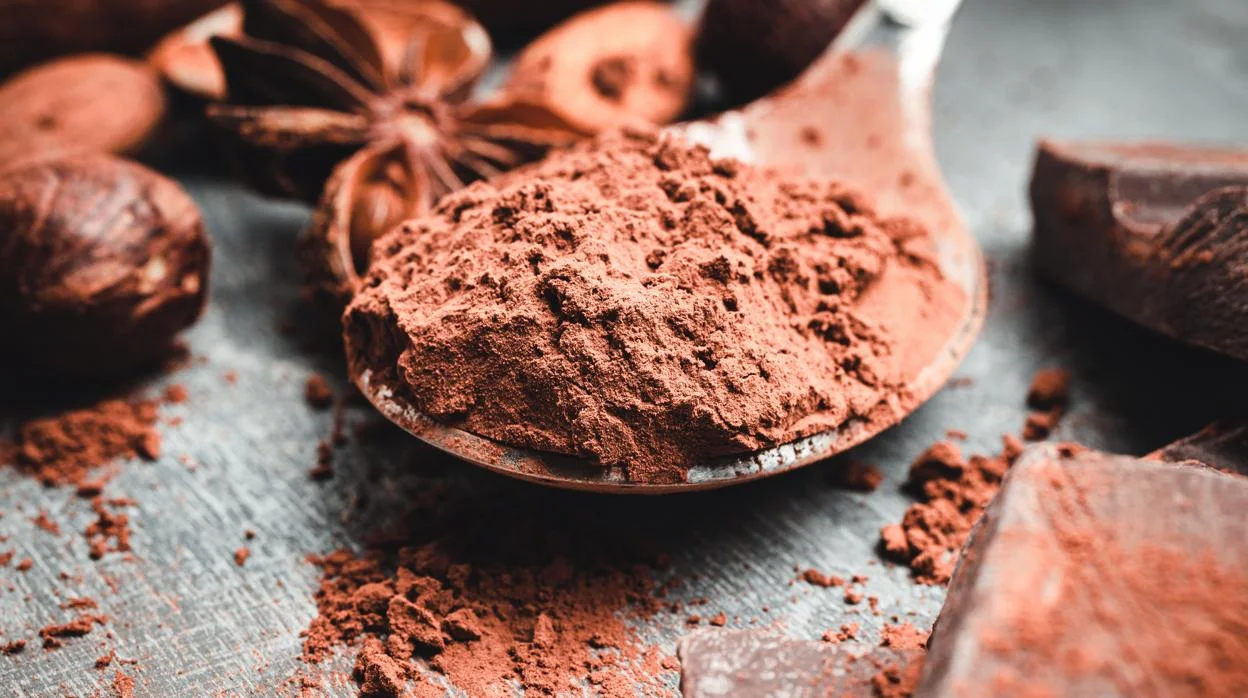 Cacao en polvo 500g - Manare - Imagen 14