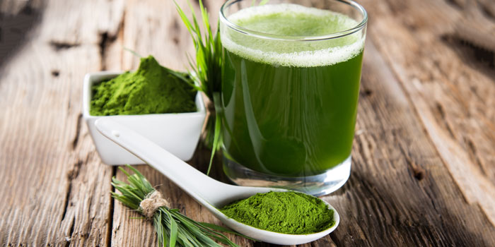 Chlorella Orgánica 180 Tabletas 90g - Manare - Imagen 13