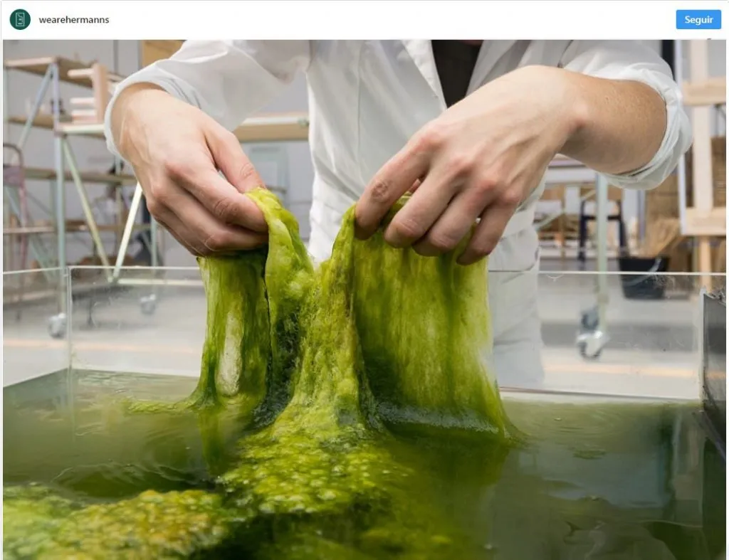 Chlorella Orgánica 180 Tabletas 90g - Manare - Imagen 10