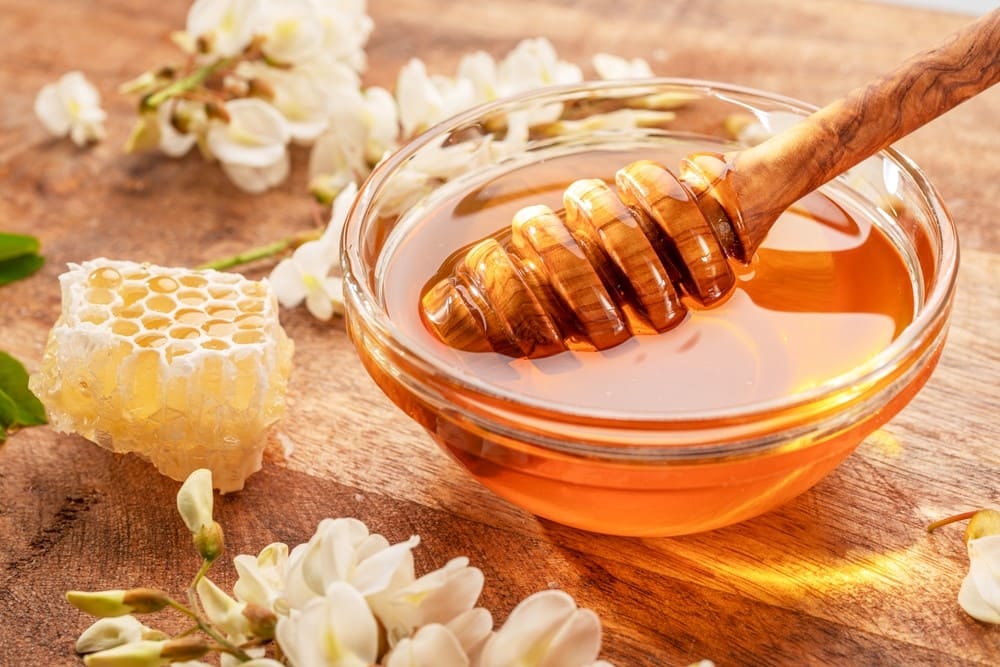 Miel De Bosque Nativo 500g 100% Natural de abejas - Manare - Imagen 7