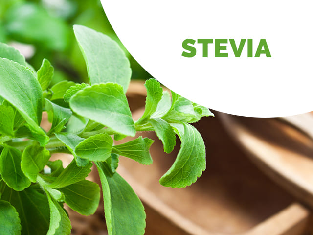 Stevia Líquida 125ml - Endulzante Sin Calorías - Manare - Imagen 6