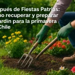 Jardín después de fiestas patrias