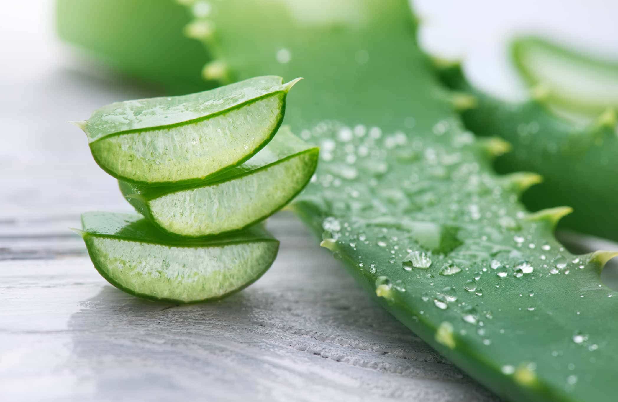 Aloe Vera Gel 473ml - Uso Alimenticio Y Cosmético - Manare - Imagen 8
