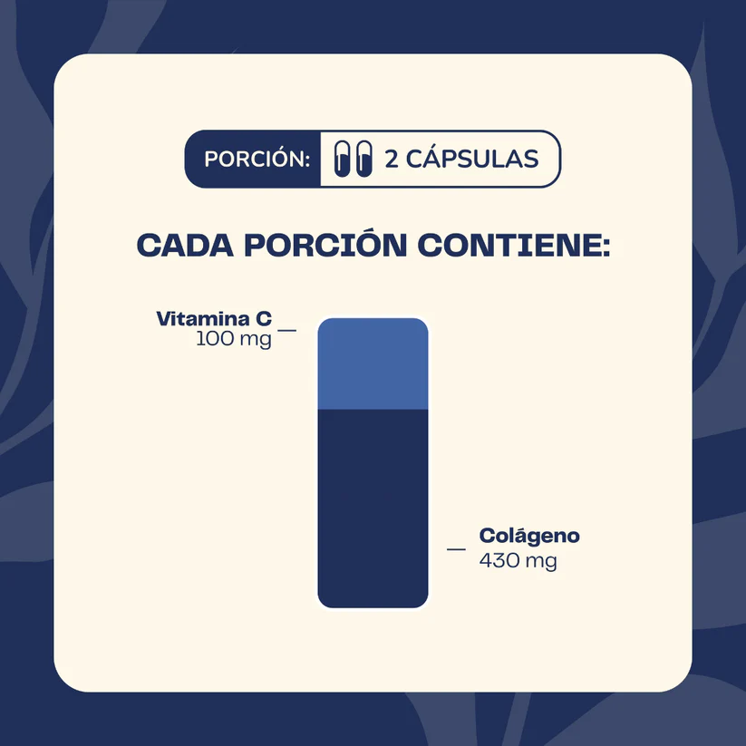 Colágeno Hidrolizado + Vitamina C Karun Life 90 cápsulas