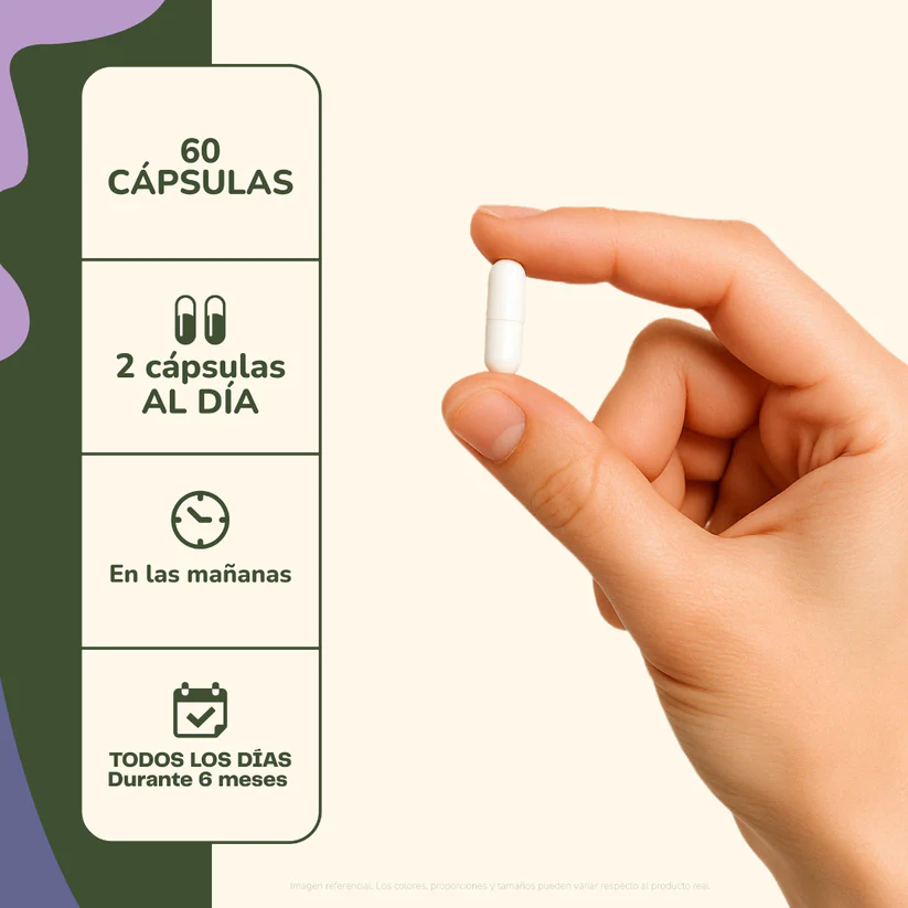 Focus Melena de León + Vitaminas y Minerales 60 Cápsulas