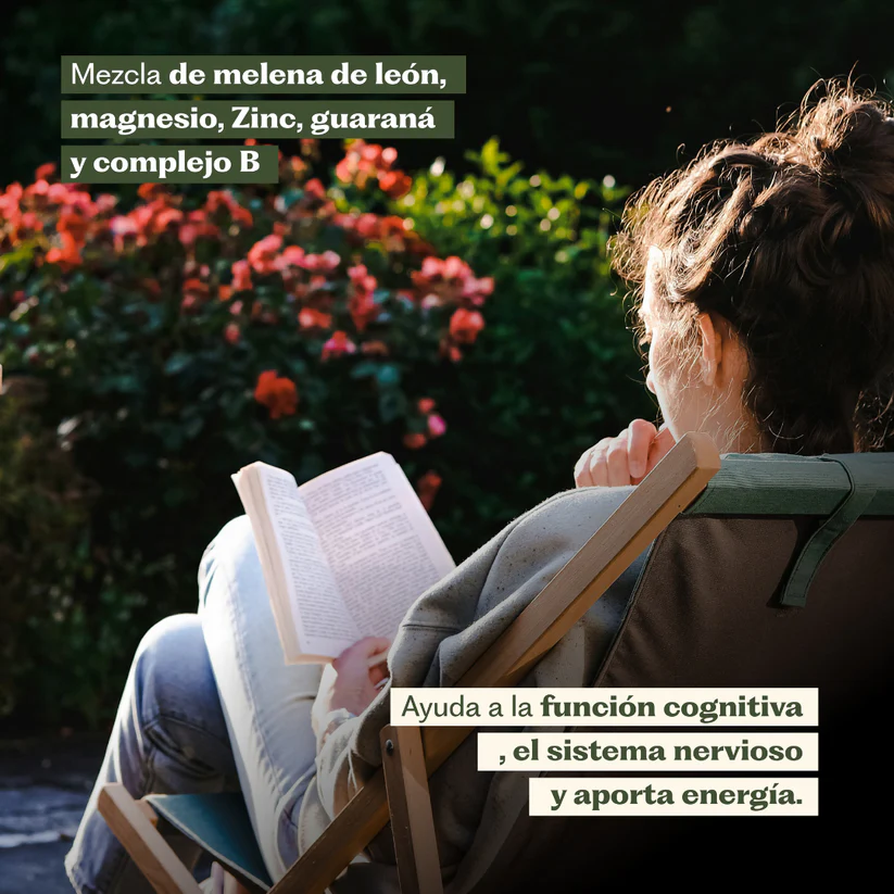 Focus Melena de León + Vitaminas y Minerales 60 Cápsulas