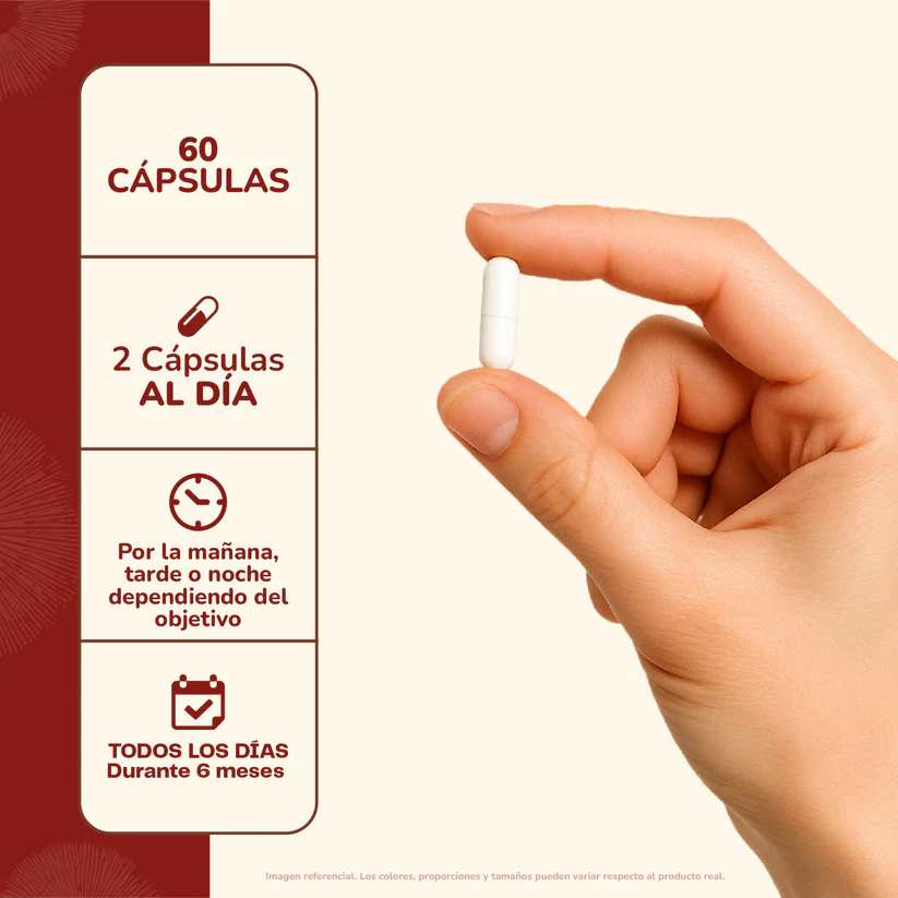 Reishi Hongo Karun Life 500mg 60 Cápsulas