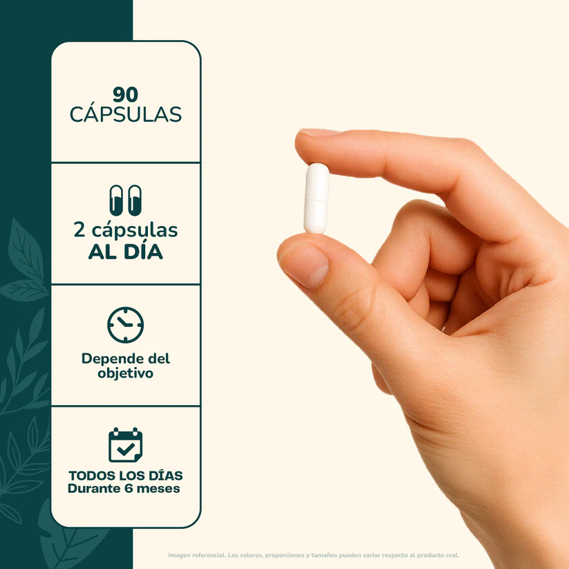 Vinagre de Manzana 90 Cápsulas 400mg Karun Life