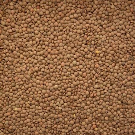 Lentejas Baby 500g Ambrosia - Imagen 6