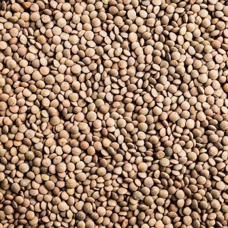 Lentejas Baby 500g Ambrosia - Imagen 9